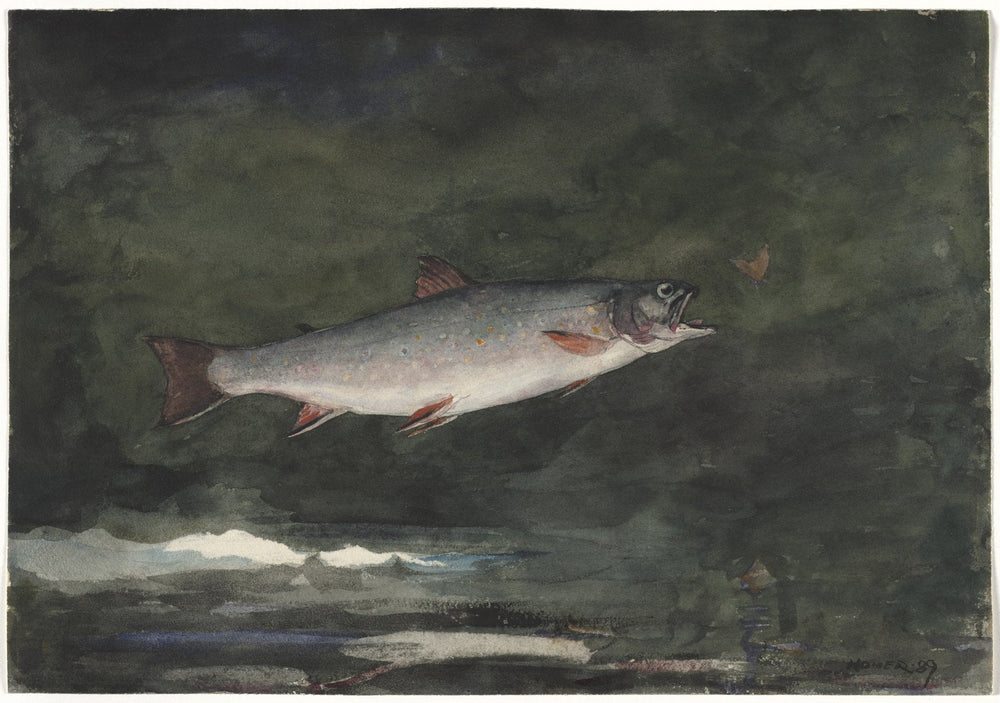 Winslow Homer, Leaping Trout, 1889, watercolor at the Cleveland Museum of Art