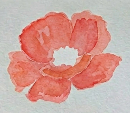 A simple watercolor poppy painting