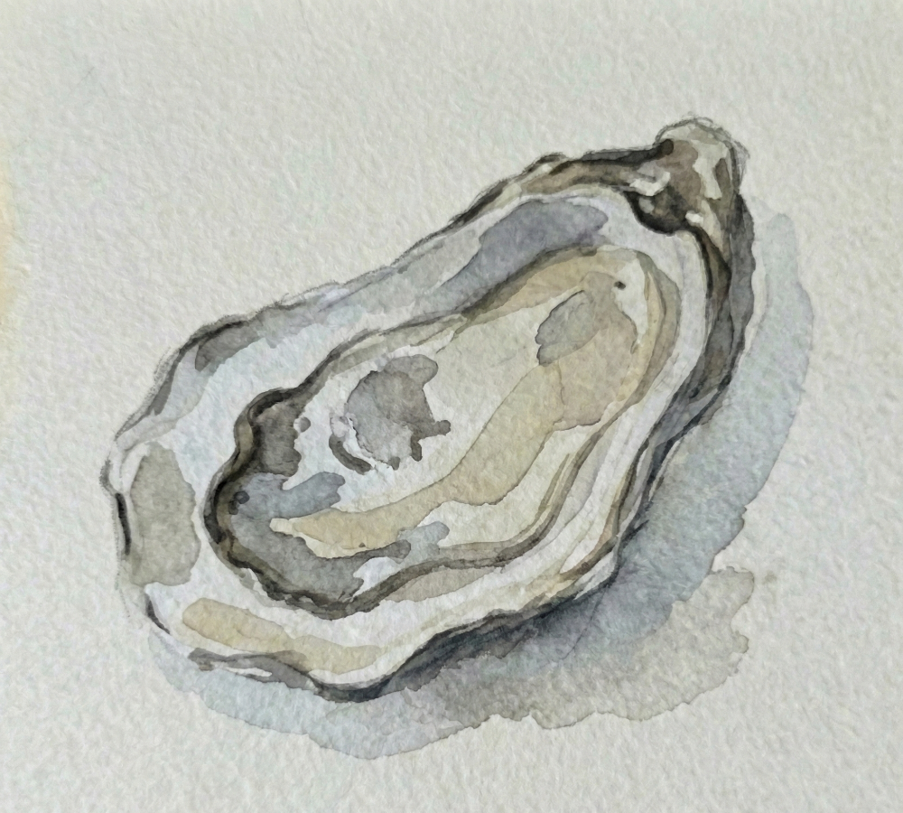 Watercolor illustration of an oyster shell on a textured beige background