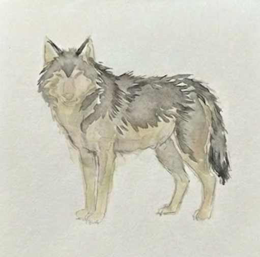 Artistic depiction of a wolf on a textured beige background