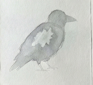 Pencil drawing with a little bit of color of a crow on a white background