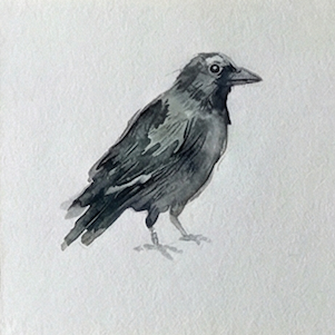 watercolor painting of a bird on a light white background