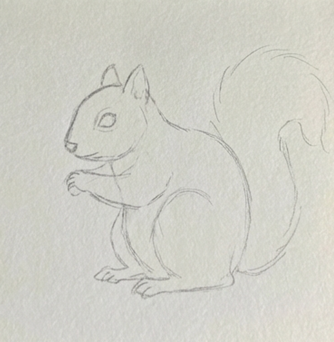 Sketch of a squirrel on a textured light gray background