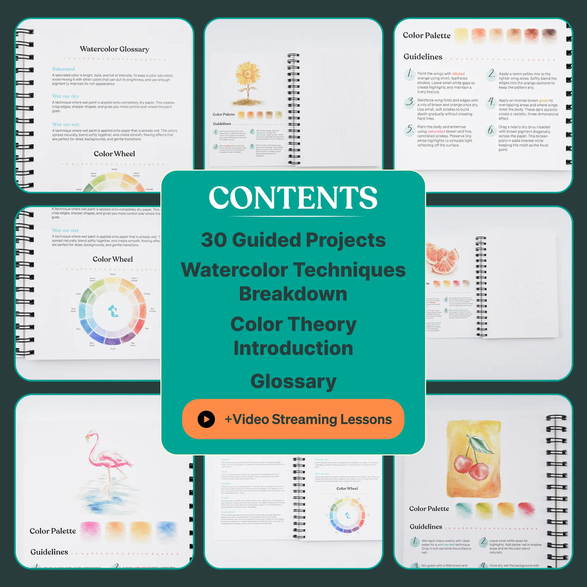 Beginner's Watercolor Workbook
