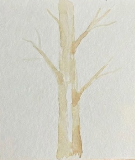 Step 1 showing a subtle pale trunk shadow for a birch tree watercolor painting.