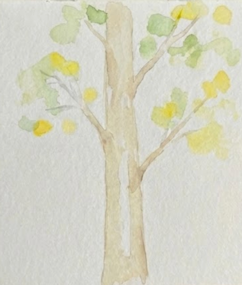 Step 2 adding loose yellow and green canopy dabs to a birch tree watercolor painting.