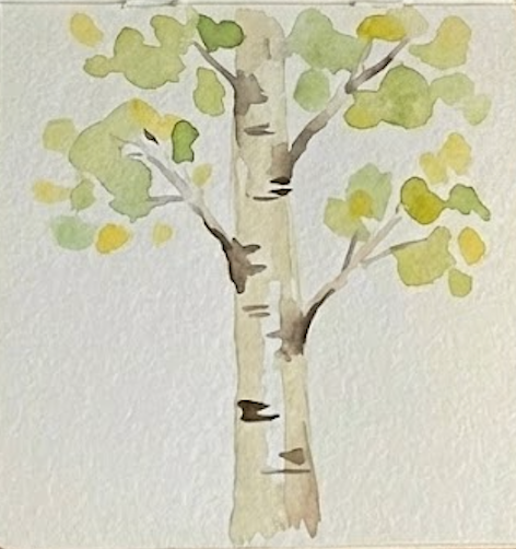 Watercolor painting of a birch tree with green leaves on a textured white background