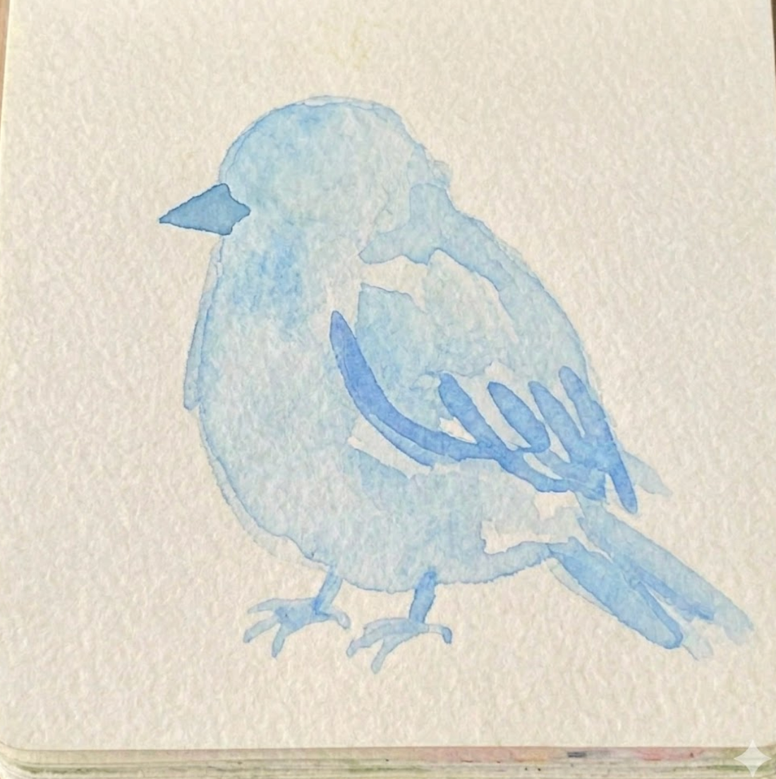 Applying a light cerulean blue base wash for step two of a beginner bluebird watercolor painting study.