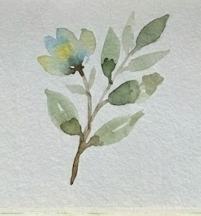 Watercolor botanical illustration, final step: dropping a lemon yellow center into the wet blue petals. The complete blue and green floral painting with natural bleeding.