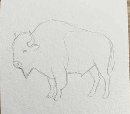 Line drawing of a buffalo a textured white background
