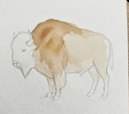 Watercolor painting of a buffalo on a textured white background