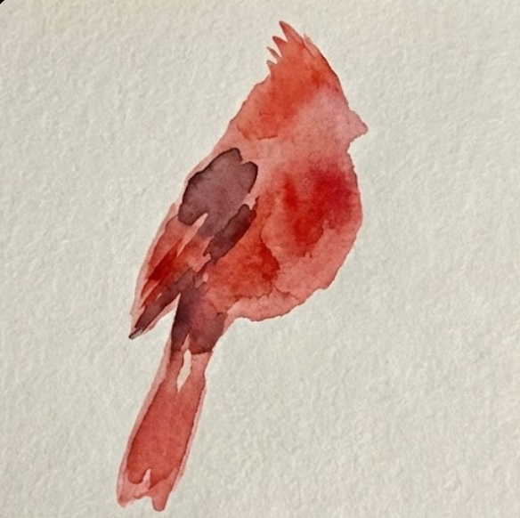 First step of a watercolor painting showing a loose red silhouette of a cardinal's body and crest on textured paper.