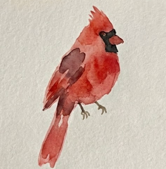 Step two of the watercolor tutorial with black face mask and beak details added to the red cardinal bird.
