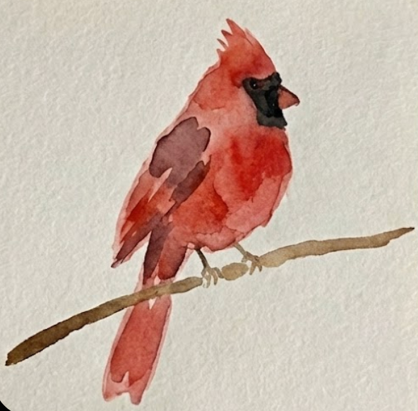 Third step showing the watercolor red cardinal now perched on a simple brown branch stroke.
