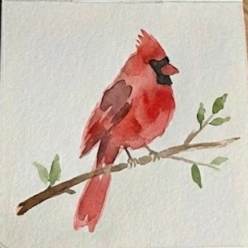 Final completed watercolor painting of a red cardinal on a branch with loose green leaves added.