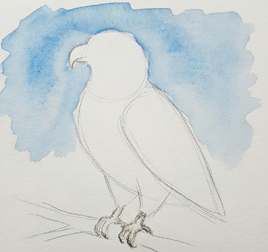 Simplified line drawing of a eagle on a light blue watercolor background