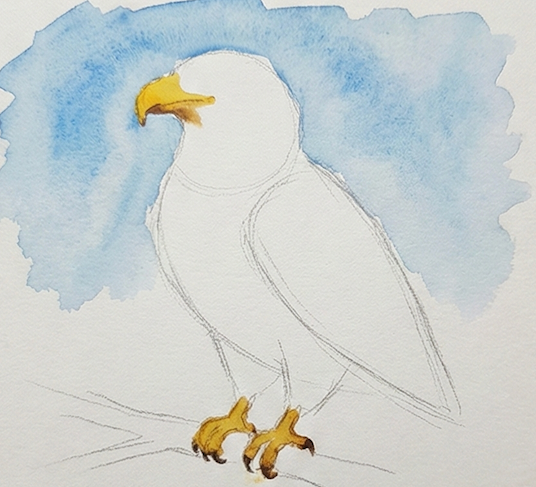 Watercolor painting of an eagle on a blue and white background