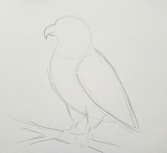 eagle drawing