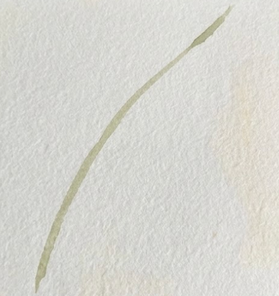 Step 1 watercolor fern painting showing a single, pale olive-green curved stem on textured paper.