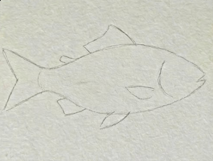 Initial pencil sketch outline of a fish on watercolor paper.