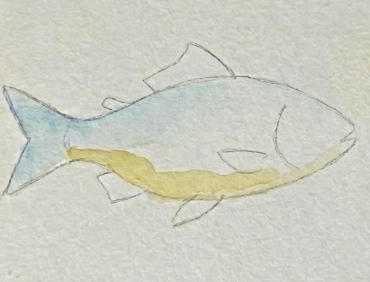 Watercolor fish painting in progress with a pale yellow wash on the belly.