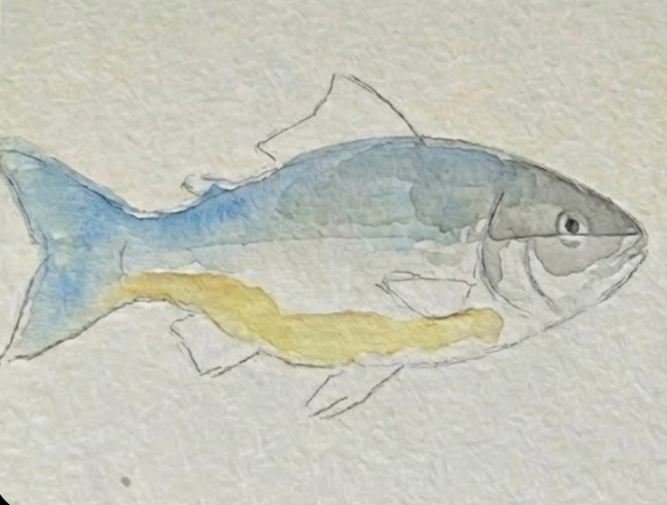 Intermediate stage of watercolor fish with blue and grey washes applied.