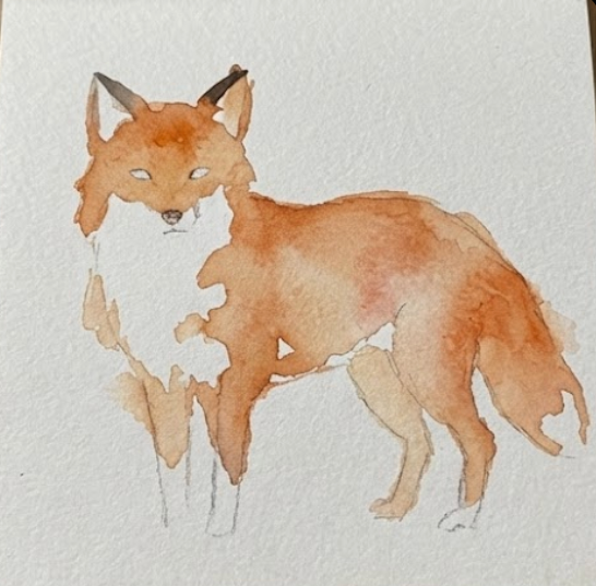 Step 2 shows the initial loose watercolor wash of warm sienna applied to the fox's fur, preserving white areas.