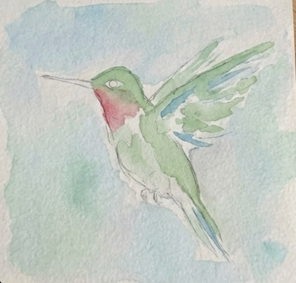 First wet-on-wet wash using Soft Sage Green and Rose Madder pigments on a hummingbird watercolor painting in a 300gsm sketchbook.