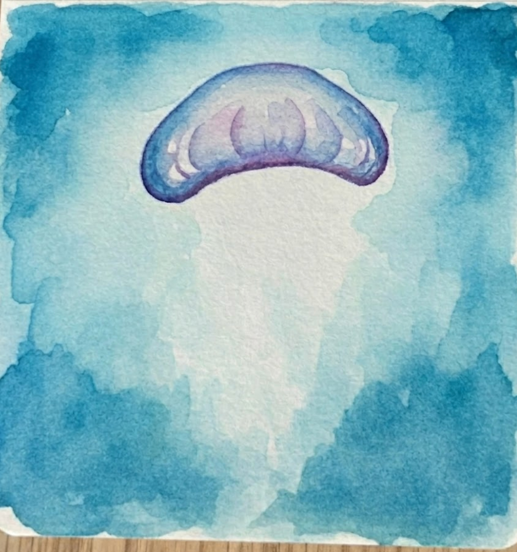 An ethereal jellyfish watercolor painting showing the luminous bell colored with a translucent Cobalt Violet wash and glowing white paper highlights.