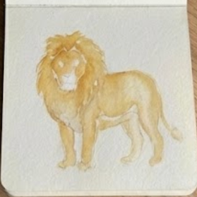 Applying a golden yellow base wash to the body and mane in step two of a lion watercolor painting.
