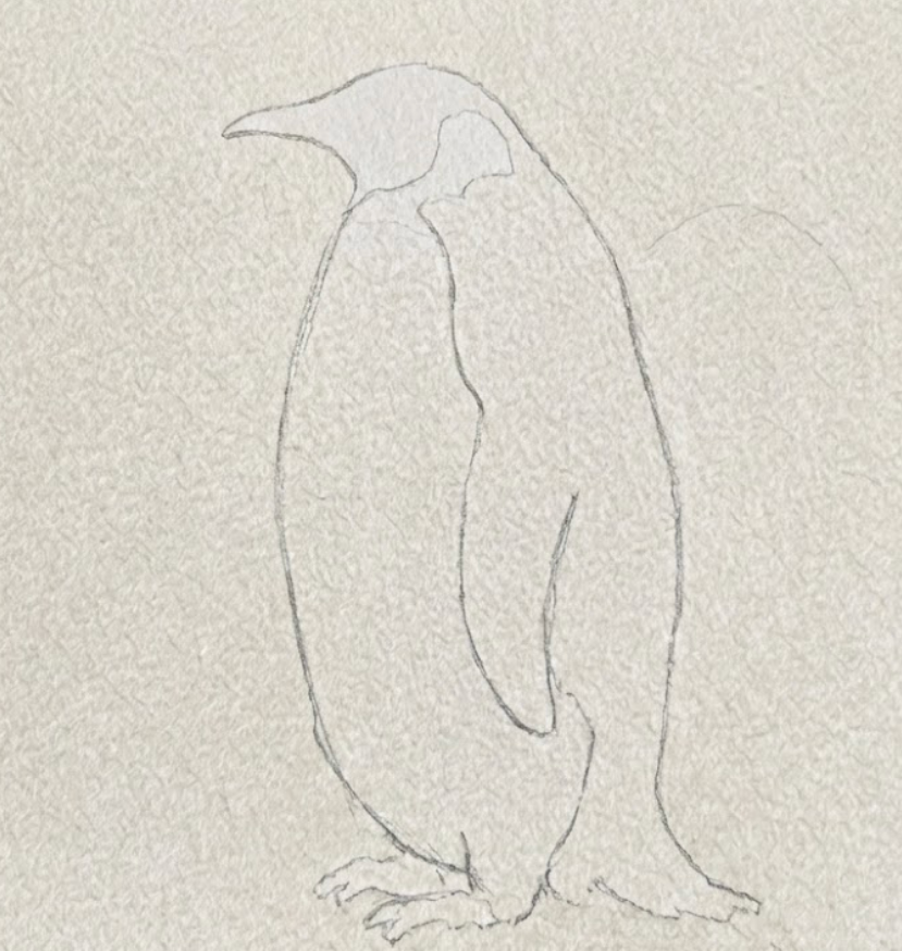 A faint graphite pencil sketch on textured watercolor paper blocking in the egg-shaped body and head of a bird, the first step in how to paint a watercolor penguin.