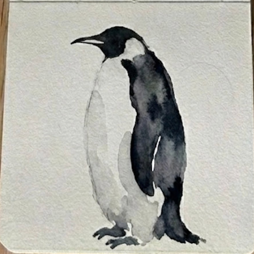 Bold black watercolor pigment with natural cauliflower textures defining the head, back, and flipper of a penguin, a crucial step in how to paint a watercolor penguin.