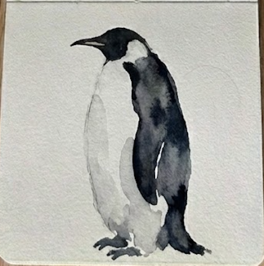 A finished watercolor penguin painting featuring a final small dab of bright orange paint on the neck to complete the study, the final result of how to paint a watercolor penguin.