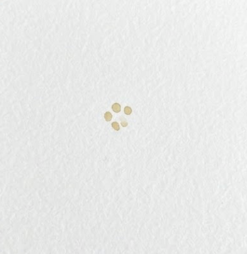 Sparse yellow dots watercolor poinsettia center with hidden nano banana detail.