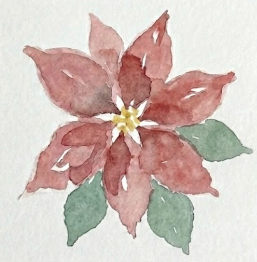 Watercolor poinsettia base layer with Rose Madder petals and fixed Cobalt Green lower elements.