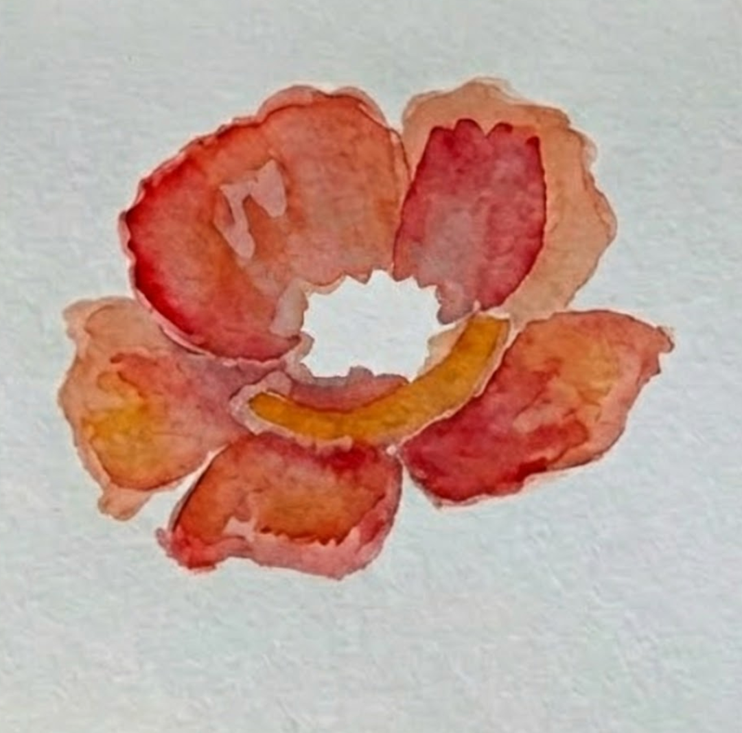 Step 2 of an expressive poppy flower watercolor painting, demonstrating wet-on-wet techniques by dropping darker crimson red into the damp petals for depth.