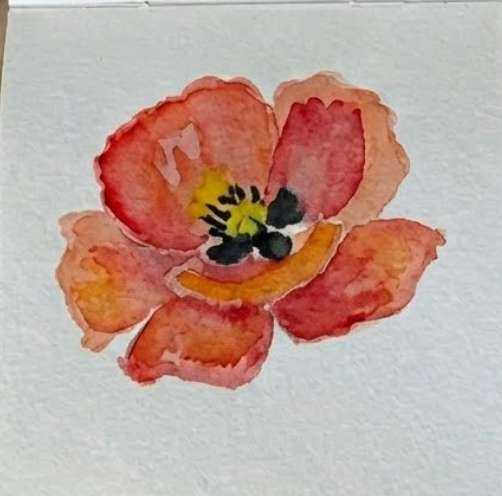 Step 3 of a simple poppy flower watercolor painting, featuring a soft black center and bright yellow stamens bleeding naturally into the red floral petals.
