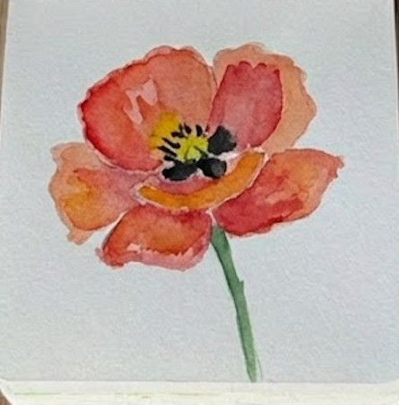Step 4 completing the poppy flower watercolor painting, showing a curved green stem added to finish the loose, expressive floral sketchbook study.