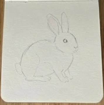 Initial light pencil contour sketch of a rabbit watercolor painting tutorial showing basic oval shapes for the head and body in a sketchbook.