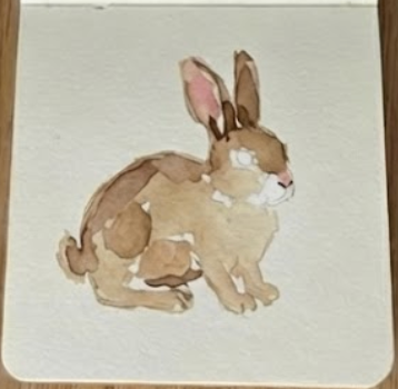 A messy base wash of raw sienna and burnt umber for a rabbit watercolor painting with intentional white gaps left for the chest and eye.