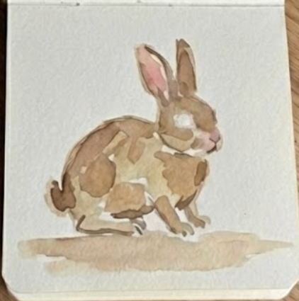 Step three of a rabbit watercolor painting showing added pink ear details and a soft brown ground shadow while maintaining a white unpainted eye.