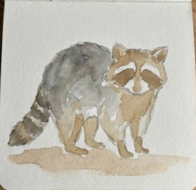 Illustration of a raccoon on a textured surface