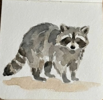 Watercolor illustration of a raccoon on a textured white background