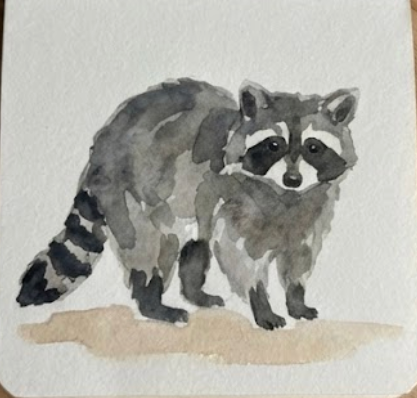 watercolor painting of a raccoon on a textured surface
