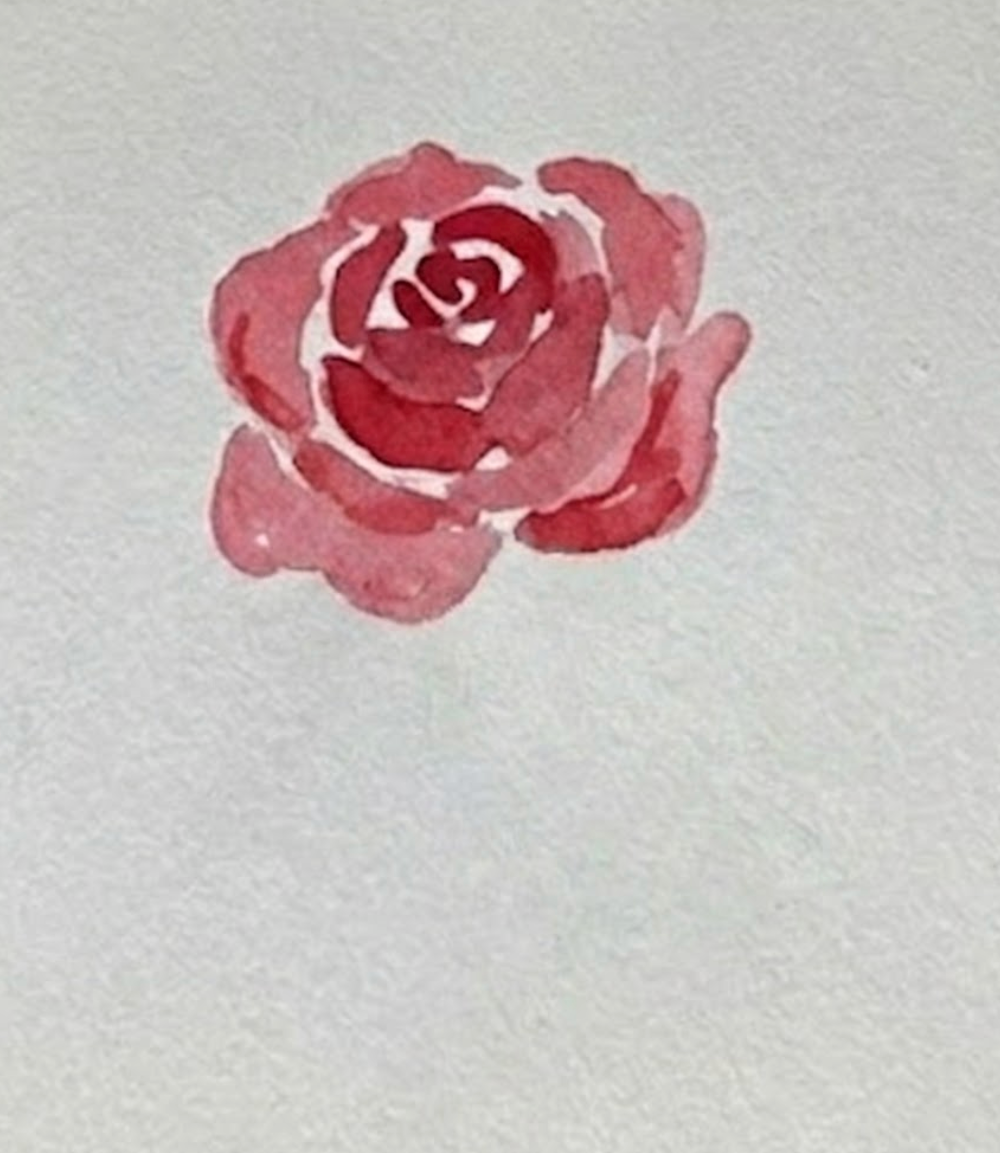 Step 2 of the red rose watercolor painting tutorial, showing lighter pink wash petals added around the center with negative space gaps.