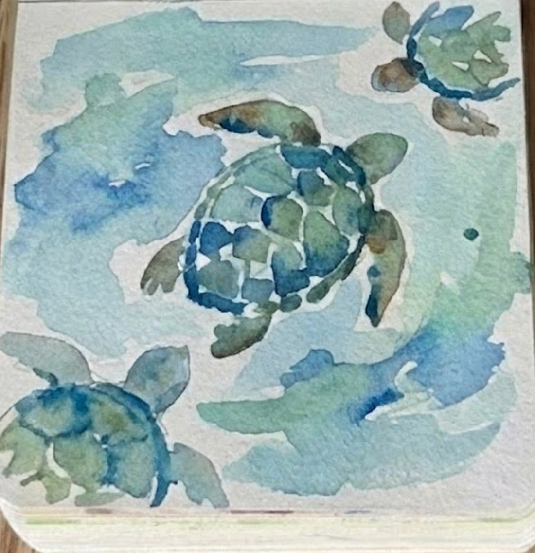 Sketchbook page showing wet-on-wet brown pigment bleeding into the green turtle shapes.