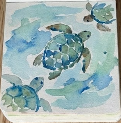Final watercolor painting in sketchbook showing sea turtles with dark scute patterns added to shells.