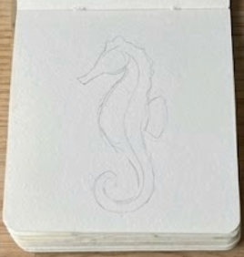 Initial pencil sketch outline for a loose seahorse watercolor painting in a small sketchbook, step 1.