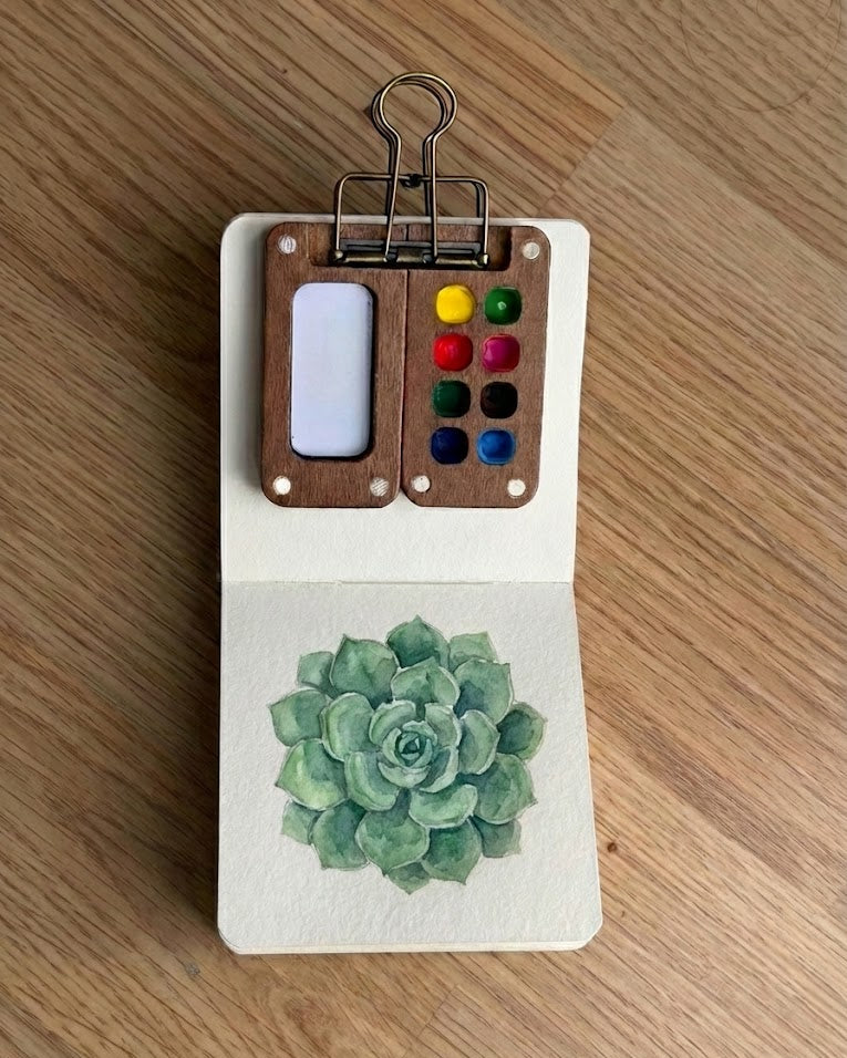 Tobio’s Kits succulent watercolor painting, painted in a small watercolor sketchbook with soft washes and simple details.