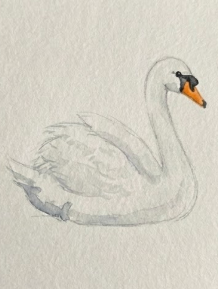 Doodle of a swan on a textured beige background
